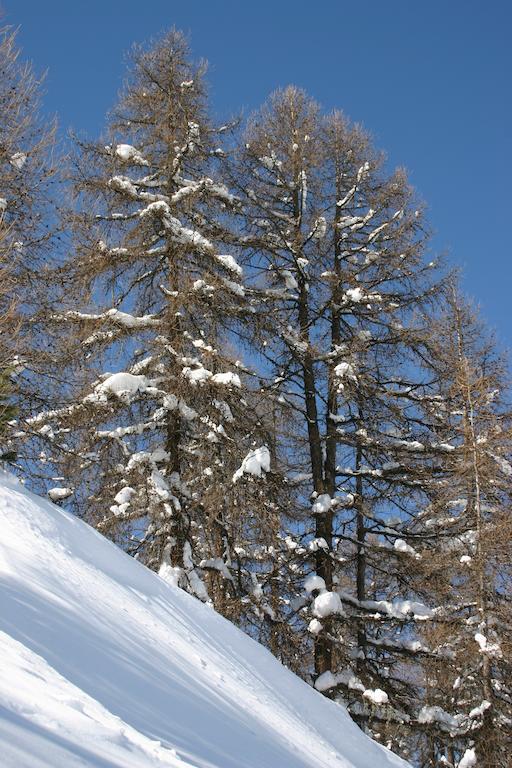 Madame Vacances Lodges des Alpages La Plagne Exterior foto